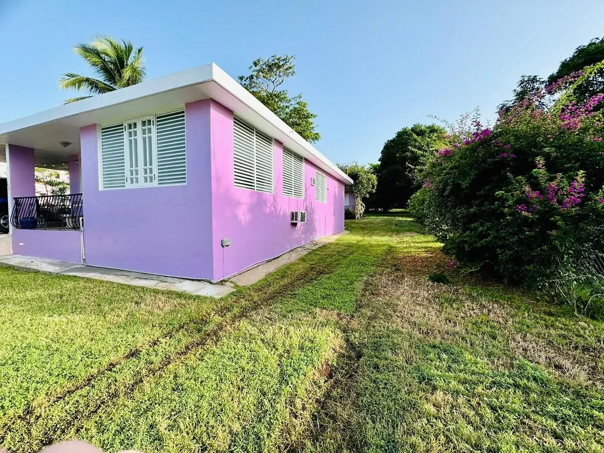 Purple Sunset - Walk To Malecon & Beaches Vieques Vakantiehuis