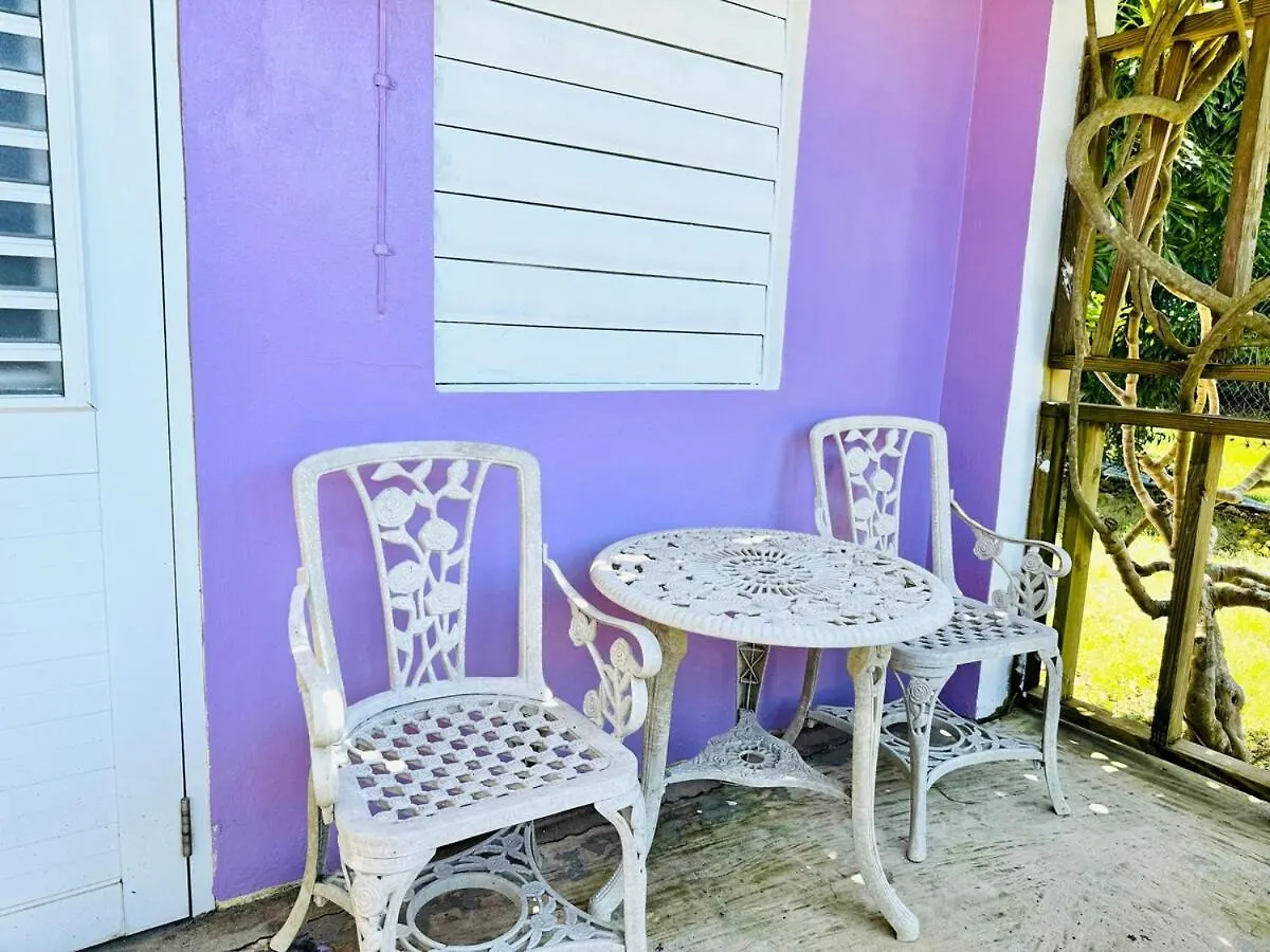 Vakantiehuis Purple Sunset - Walk To Malecon & Beaches Vieques Puerto Rico
